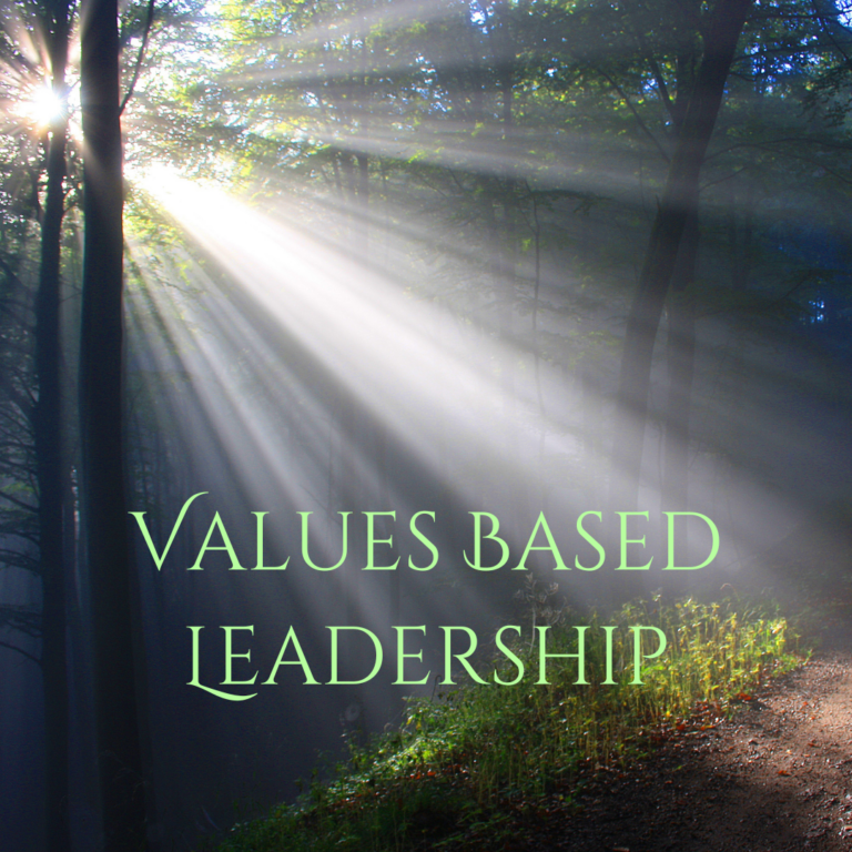 Values Based Leadership - Professional Development