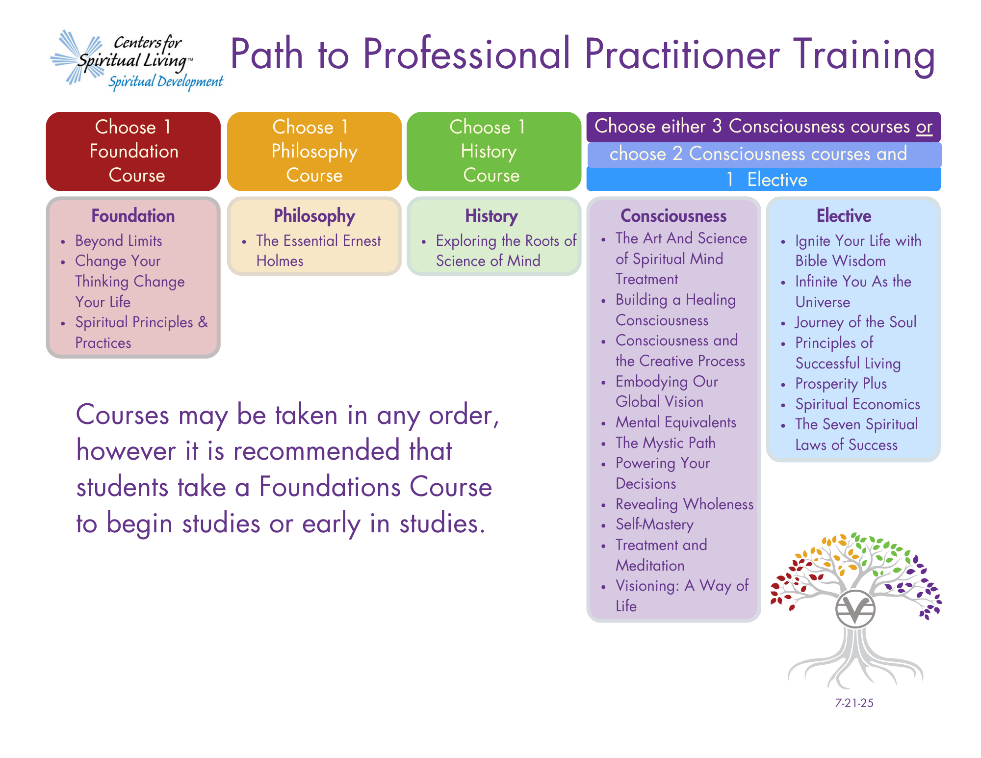 Path to Prof Prac Training 7-21-25