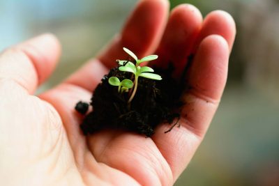 Soutenir la croissance